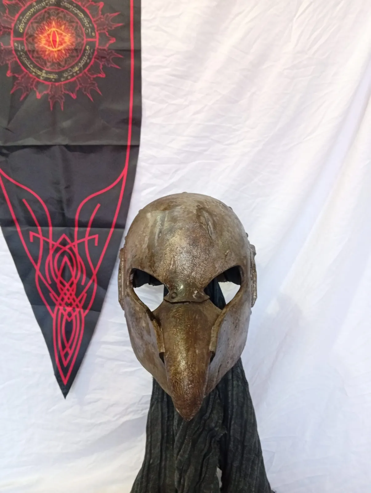 Casque d’orque à bec, vue de face